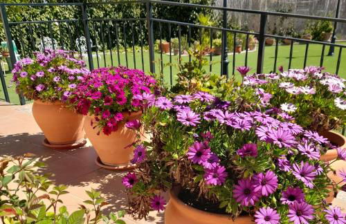 Alojamientos Rurales Villora - Foto 11