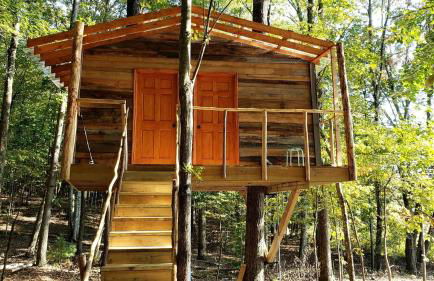 Radiant Forest Vacation Rental Haven Near Piney River, Tennessee - Foto 1