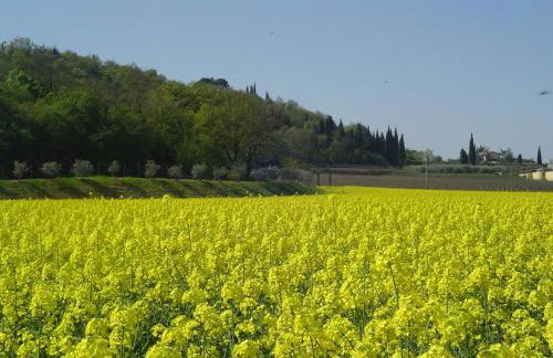 Agriturismo Sambuco - Photo 45