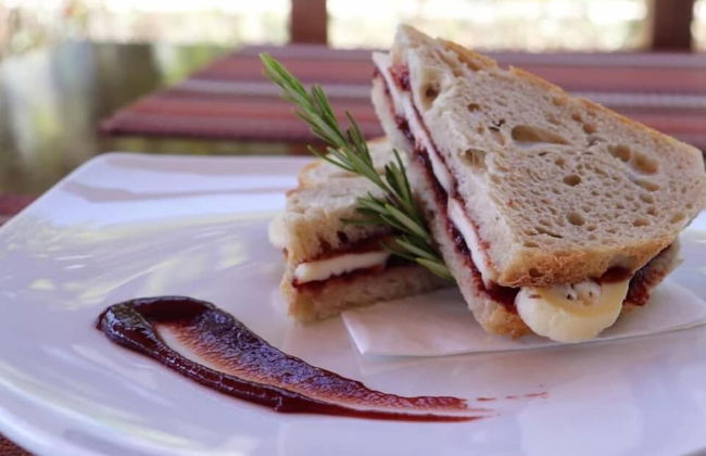 Quinta do Mel - Foto 34