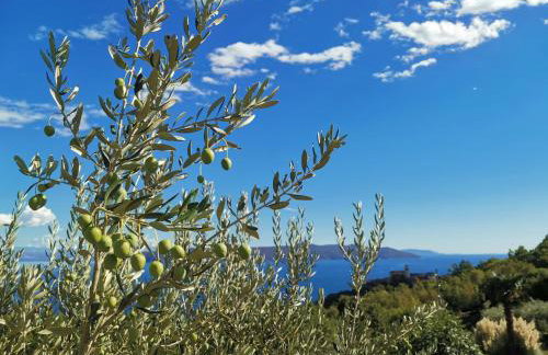 Apartman MARIJETA - Foto 16