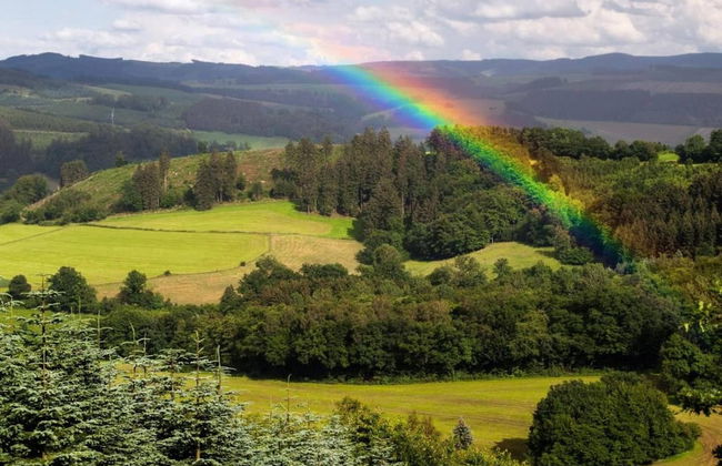 Apartment Near the ski Area in Wehrstapel - Foto 41