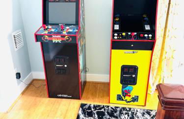 Lion of the Beach - Photo 8