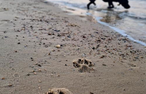 Pebbles Cottage - Foto 35