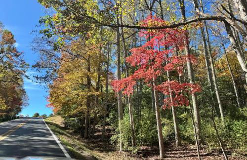 The Lily Pad Cabin, 19 Private Acres, Fire Pit - Foto 26