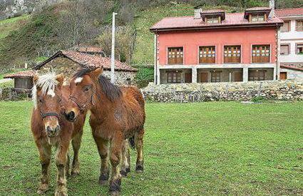 Apartamentos Blanca Senda del Oso - Foto 41