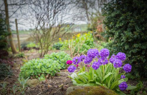 Cruck Barn Cottage - Photo 11
