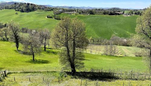 Alloggio con camino nel borgo del castello - Foto 5