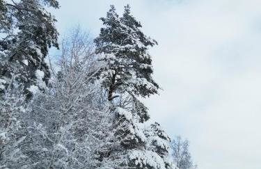 W starej szkole - agroturystyka - Foto 76