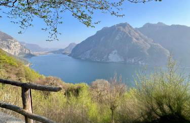 JungleHouse - Foto 21