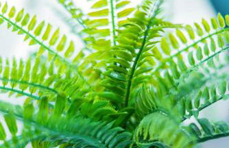 Helle Wohnung mit Balkon & moderner Küche - ideal für Paare mit Kind - Foto 18