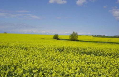 Idyllic Apartment in Bastorf With Balcony - Foto 82