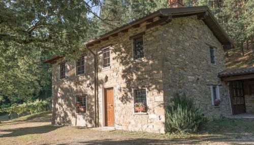 Abissinia, Gioiello nel Bosco - Foto 3