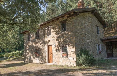 Abissinia, Gioiello nel Bosco - Foto 3