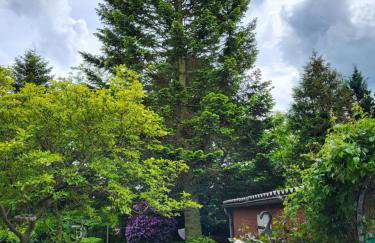 Westküste Ferienwohnung - Foto 21