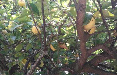 Tigullio Vacations panoramica apartments - Foto 40