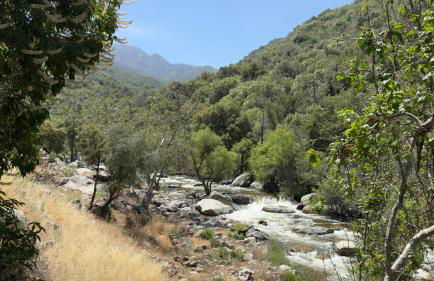 Paradise Ranch Inn- Limitless House Hot Tub,Sauna - Foto 42