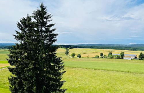 Apartment mit Grünblick & Wintergarten im Schwarzwald - Foto 14