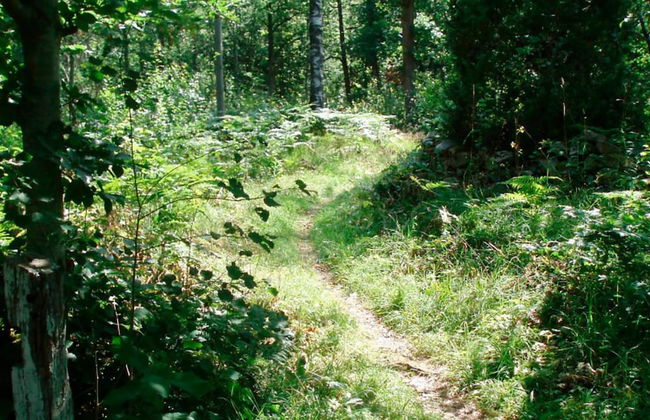 4 Person Holiday Home in Hallabro-by Traum - Photo 22