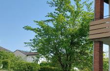 Ferienwohnung Treysa - Foto 14