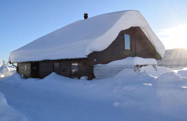 Skeikampen Booking - Foto 65