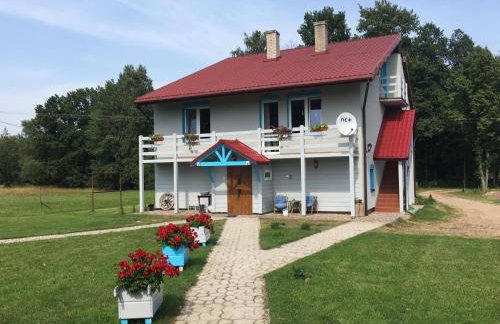 Dom na Starym Gościńcu Tiszyna - Foto 5