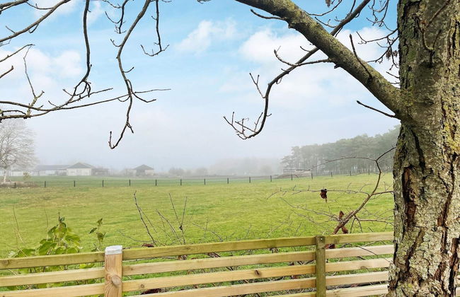 4 Star Holiday Home in Tomelilla - Photo 20