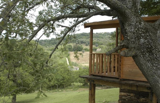 Il Daino Bianco Country Hotel - Foto 24