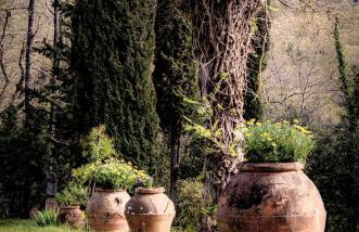 Il Bosco del Lebbio - Foto 15