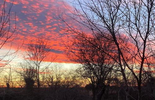 CASA RURAL LA FRESNEDA DE TENZUELA - Foto 7