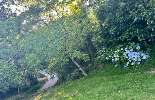 casa do gaio - Foto 18