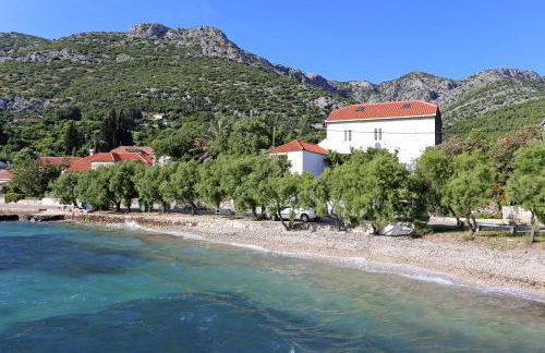 Apartments by the sea Viganj, Peljesac - 10140 - Foto 3