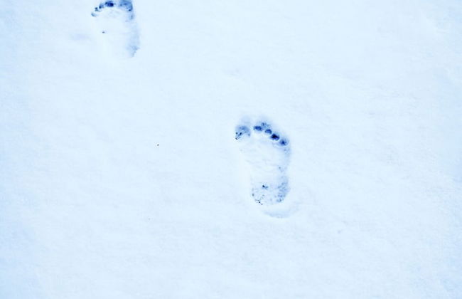 Barefoot Villas Cabin 2 Moose w/ Hot Tub - Photo 27