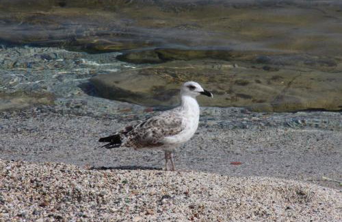 Villa Sonia - Photo 32