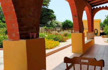 Casa Marina Lu Tuvaraggiu Casa vacanze - Photo 23