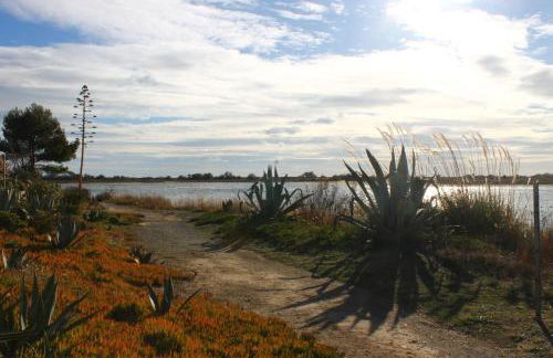 Gruissan Ayguades joli maisonnette 2 personnes, wifi gratuit - Photo 14