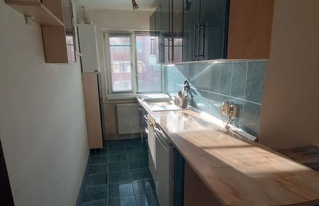 Iosif House RGN 2 Reșița Iosif - Foto 5