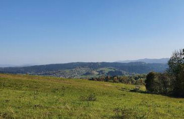 Domki Pod Lasem - Photo 38