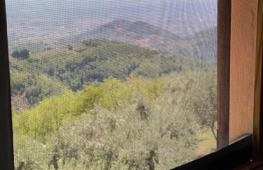 Podere il Poggio - Foto 51