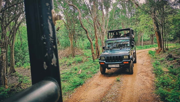 Atravesando en 4x4 uno de los caminos de Yala