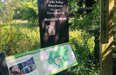 The Orchard Apartment, Clyde Valley - Foto 56