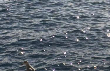 Residence Butterfly - Foto 37