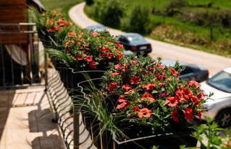 Przy Trójstyku - Foto 74