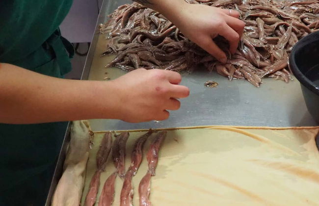 Escursione ad una fabbrica di acciughe a Santoña + Giro in barca - Foto 3