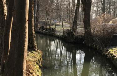 Spreewaldinsel Leipe - Foto 26