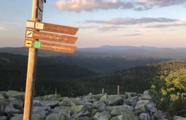 Ferienwohnung zur Steinklamm im bayrischen Wald - Foto 45