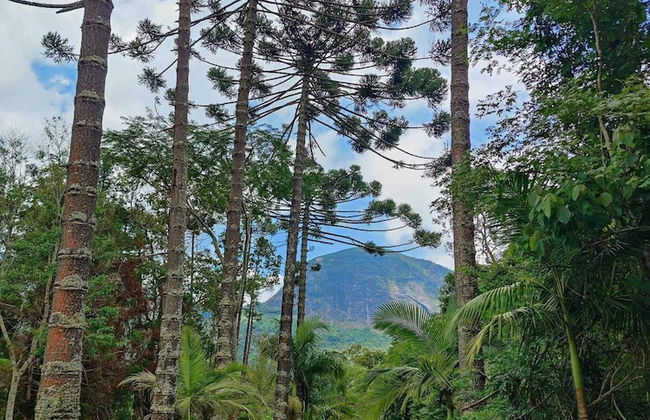 Paradisiacal Site in National Park - Foto 17