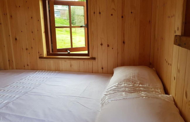 Foxglove Holiday Private Eco Accommodation - Foto 2