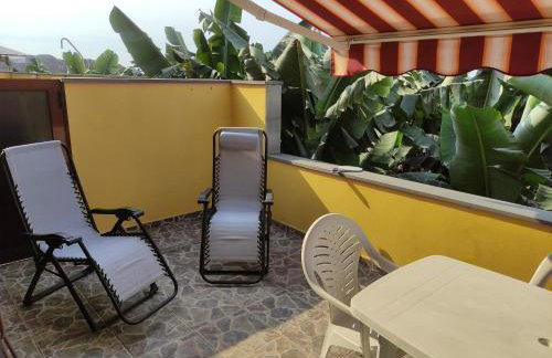Palma Tellus - Foto 22