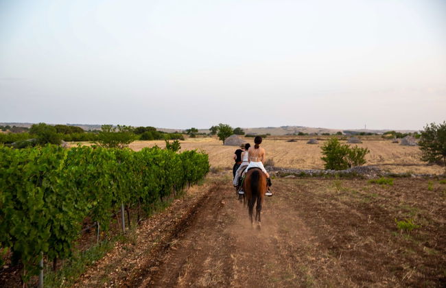 Lama di Luna Biomasseria - Foto 39